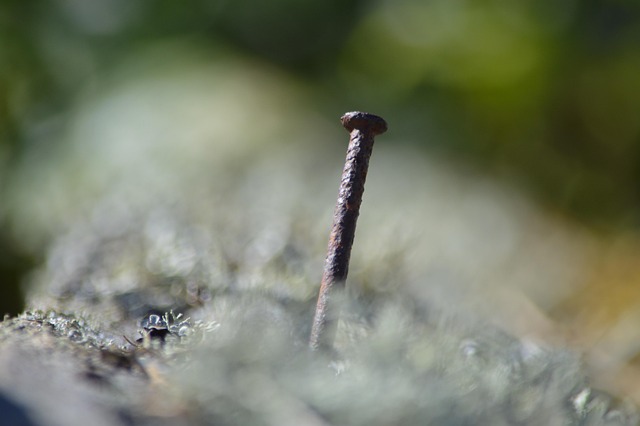 내 월급 꼼꼼히 살피고 저축 목표 세우기