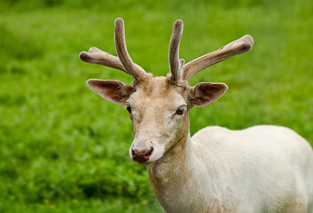 대마도 빠칭코만의 특별한 점!