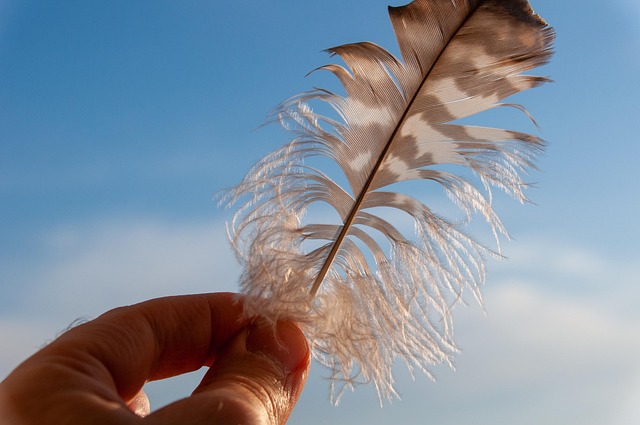 노타는 어떤 회사인가요?