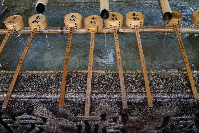 특별한 기운, 북극성 사주와 칠성줄의 비밀