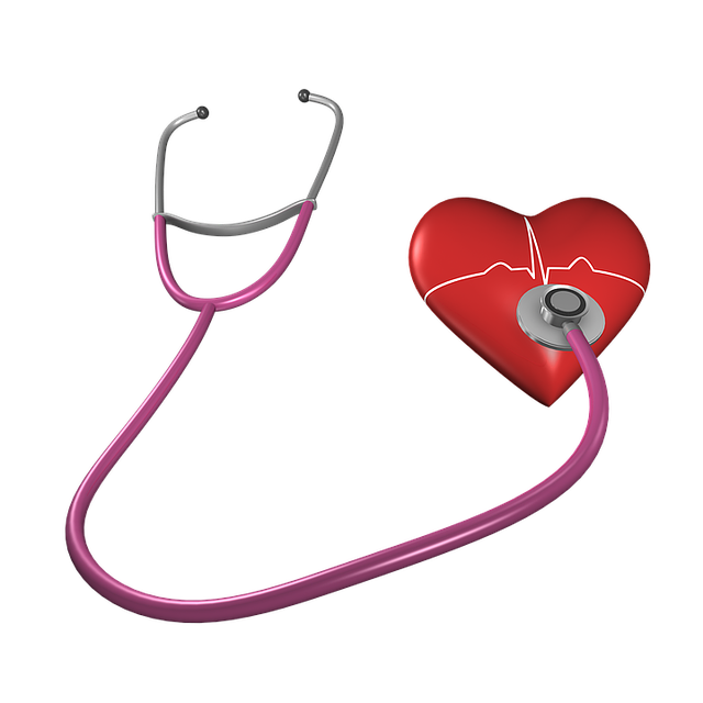 2025년 임신준비 건강검진 지원, 무엇이 달라지나요?