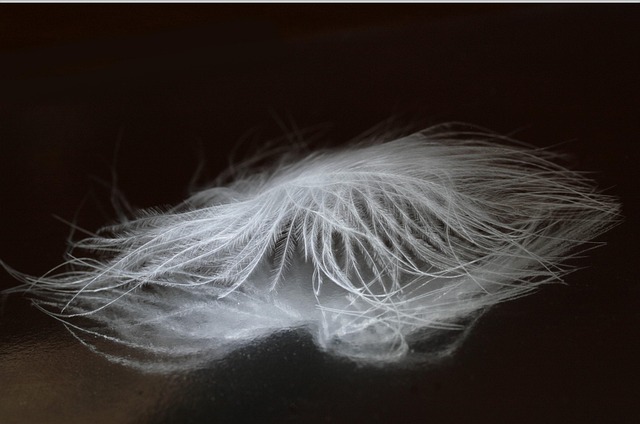 다양한 디자인과 컬러로 우리 아이 취향 저격!