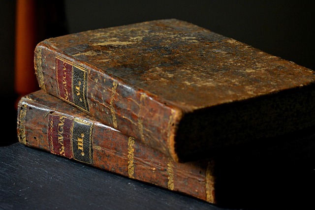 진성준 국회의원: 어린 시절부터 정치인의 꿈까지