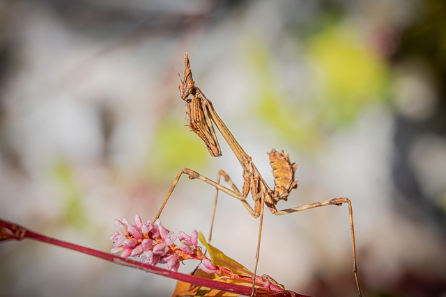 <길복순>과의 특별한 연결고리