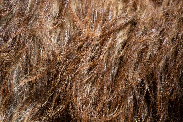 오트밀 컬러의 특별한 디자인과 디테일