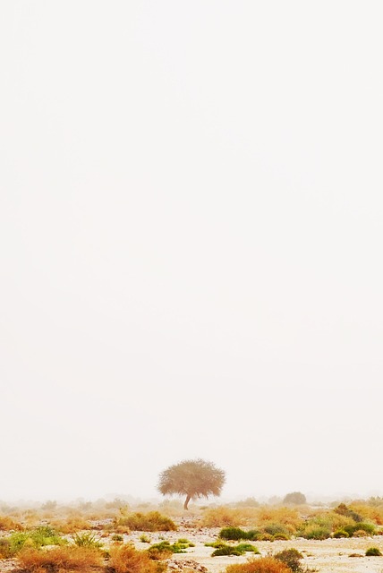 더욱 선명하고 멋진 화면, 얼마나 커질까요?