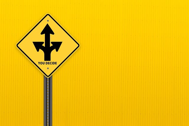 정부는 임시공휴일 지정을 어떻게 생각할까요?