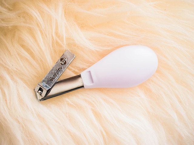 피부, 손톱, 머리카락까지! 난각막가수분해물의 숨겨진 효능 💅