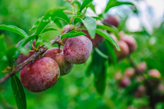 따뜻한 마음, 이이경의 감동적인 선행