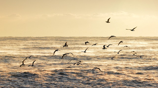 한국어 감정 표현, 어떤 종류가 있을까요?