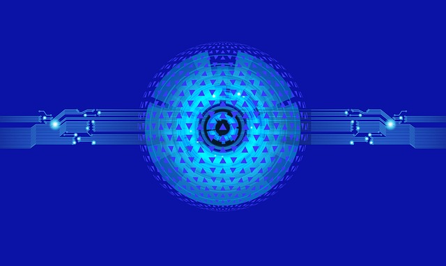 Intuition 코인의 특별한 기능들