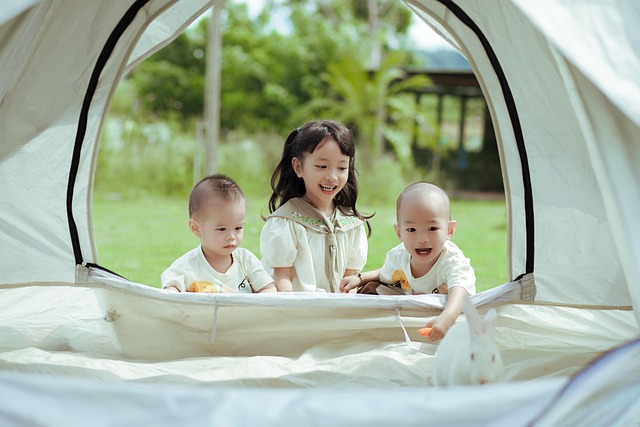 스타벅스 보냉가방의 매력, 디자인과 실용성