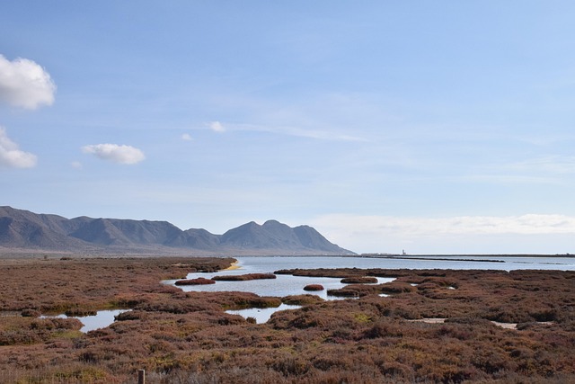 식염포도당, 정확히 어떤 건가요?