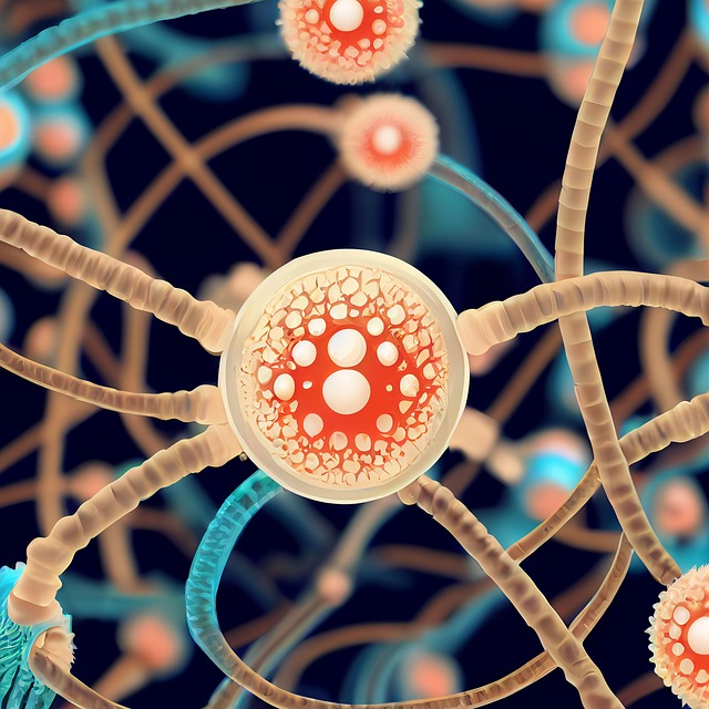 김묘진: 제약·바이오 IR 전문가, 스마트한 그녀의 조건