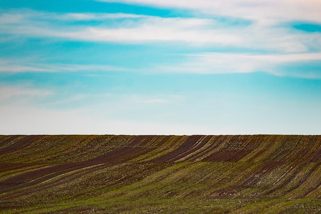 똥꿈의 기본 의미와 역사적 배경