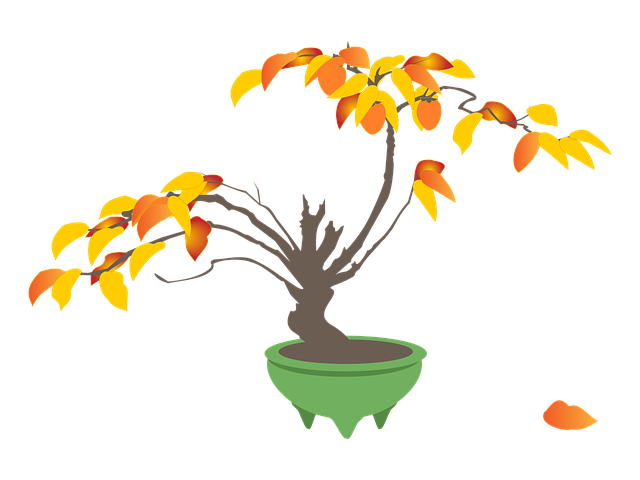 알록달록 가을 맛, 10월의 감: 피부와 면역력에 최고!