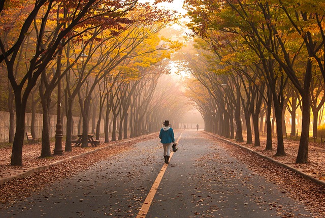상당산성 & 청남대: 자연 속 힐링과 역사 탐방