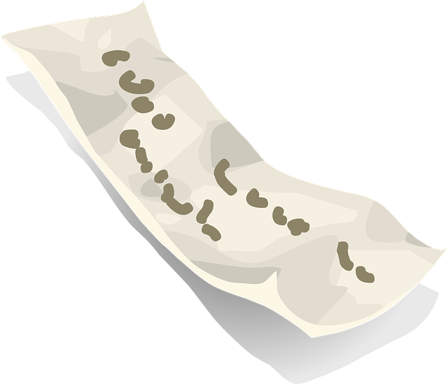 📝 미국 비자 신청, 꼭 필요한 서류 총정리