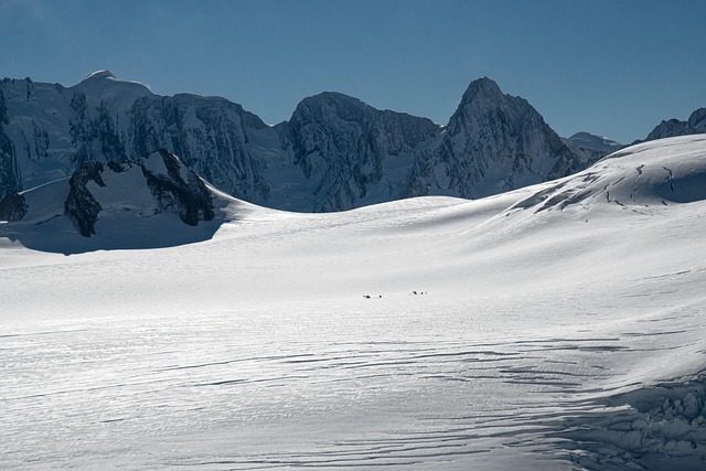고양 원마운트 스노우파크: 사계절 즐기는 실내 눈썰매