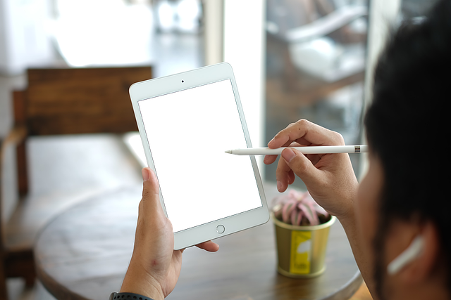 고야드 미니앙주만의 특별한 디자인과 특징