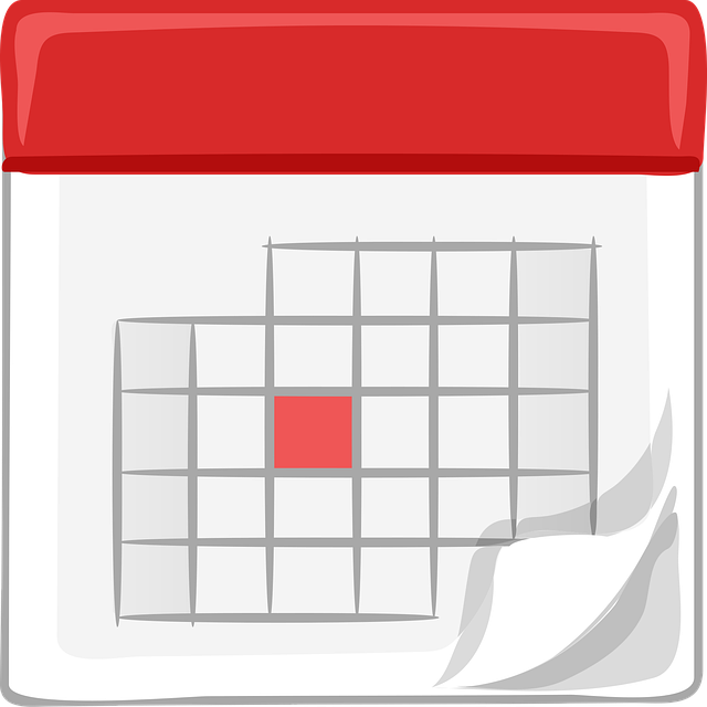 언제 신청하고 언제 받나요? (신청 및 지급 일정)