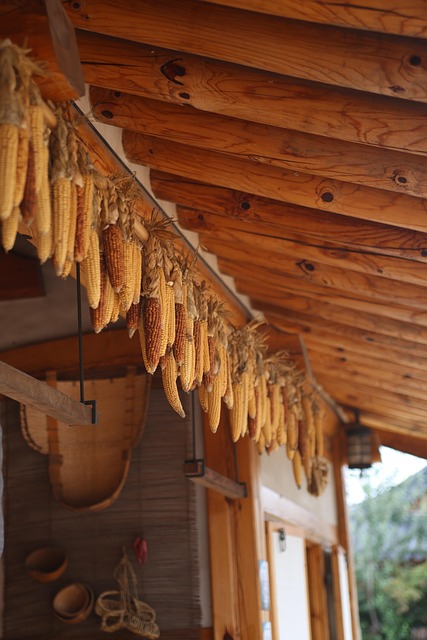 부천 크리스피도넛, 어떤 곳인가요?