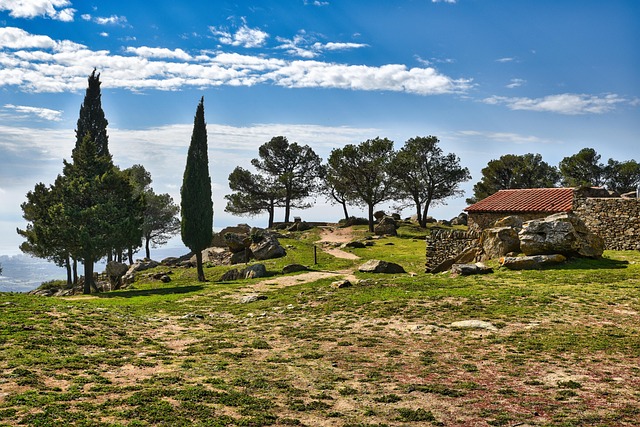 신기한 돌 무덤, 화순 고인돌의 모습과 비밀