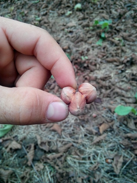 빠르고 저렴한 솔라나의 마법