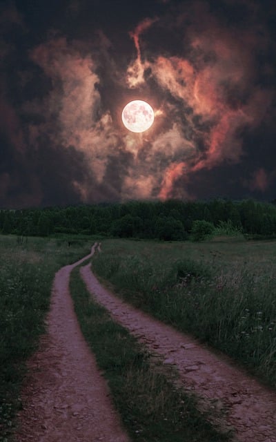 인스타그램 스토리 몰래보기, 왜 궁금하고 어떻게 가능한가요?