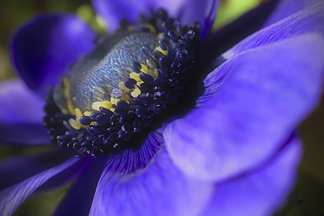 나를 괴롭히는 알레르기 비염의 원인들 🍃 (원인 물질)