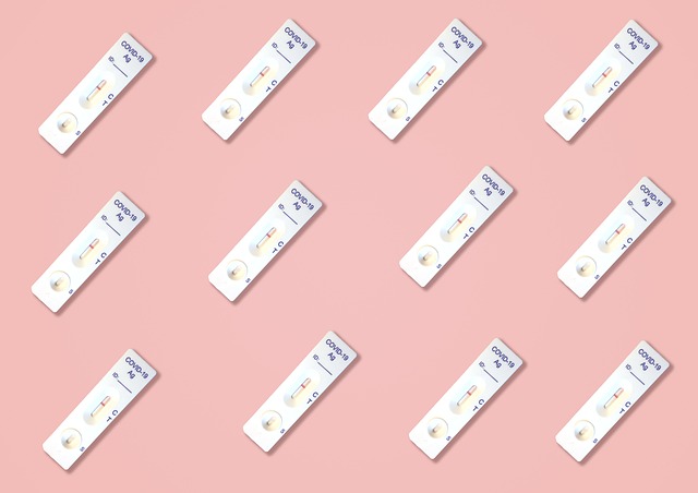 SKT 공식 사이트에서 속도 측정하는 방법