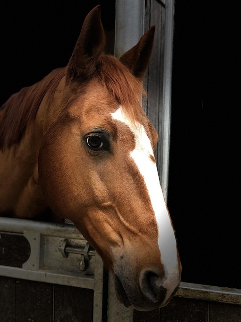 에이피알(APR) 어떤 회사인가요? 상장 이야기부터 시작!