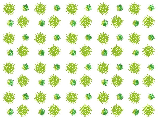 A형 독감, 도대체 뭘까요?