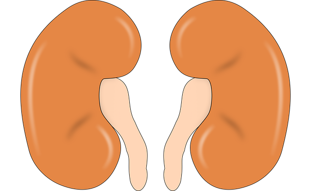 독감이 불러올 수 있는 무서운 합병증