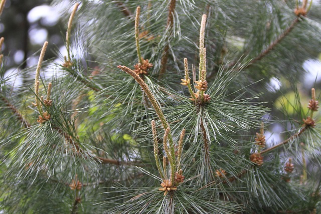 27기 정숙의 매력적인 프로필과 포항 생활