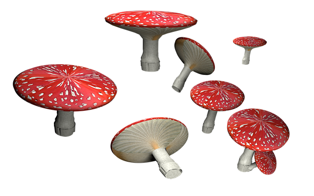 다양한 멜론 쿠폰 종류, 어떻게 쓰나요?