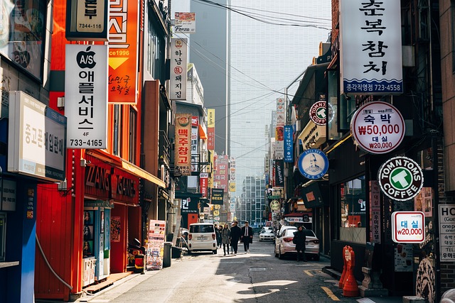 2025년 서울랜드 야간권 가격 & 입장 시간 알아보기