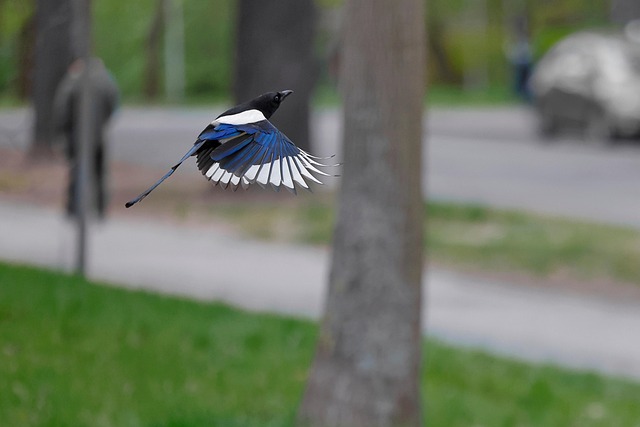 기내용 발받침, 비행의 피로를 덜어주는 마법 같은 친구!