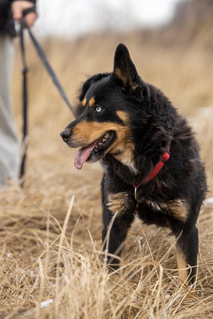 누가 지원받을 수 있나요? 자격 요건과 조건