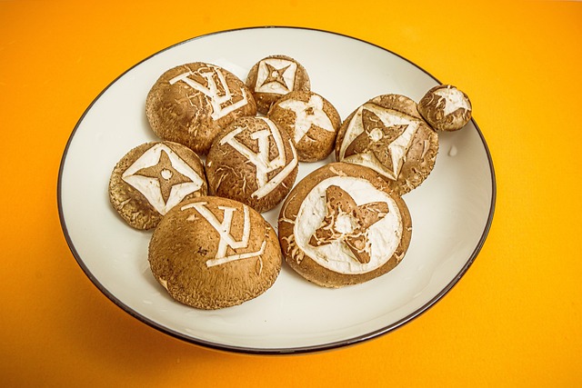 루이비통 목도리, 어떤 제품일까요?