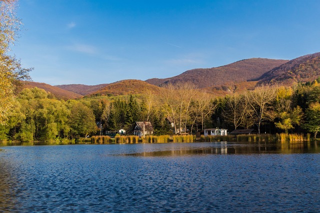 2024년 인기 루이비통 목도리 라인업과 가격