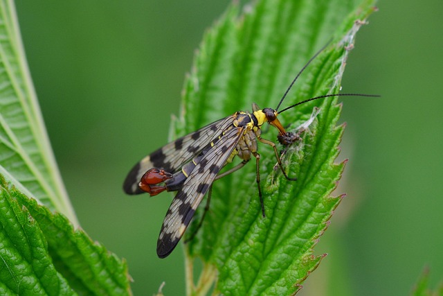 완하제 복용 시기와 방법