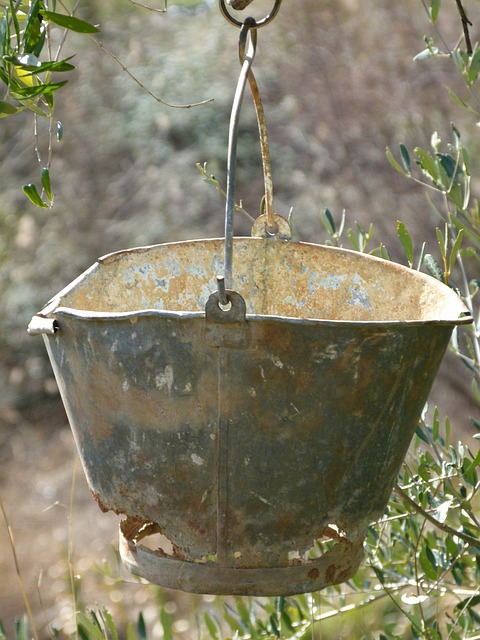 바이오렉트라 아연셀레늄, 이게 뭔가요?