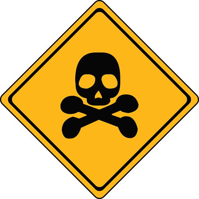 최신 인스타 스토리 몰래보기 사이트 사용 팁과 주의할 점