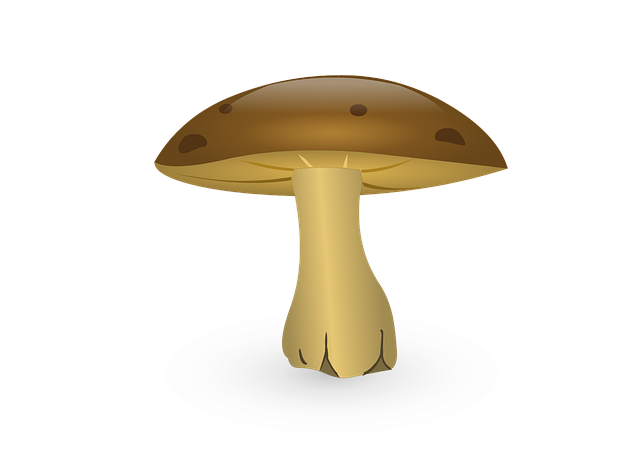 발톱무좀약의 비밀! 주요 성분과 원리를 알아봐요