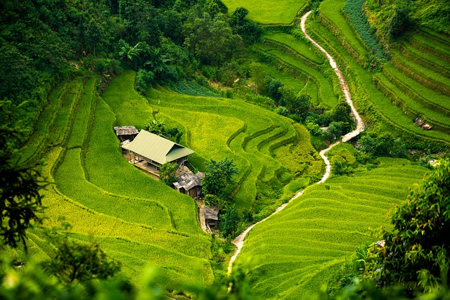 잠실르엘 청약일정, 놓치지 마세요! (일정 및 절차)