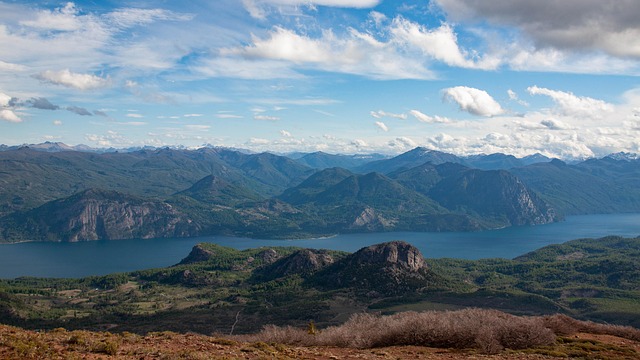 신칠라 니켈의 주요 제품 구성