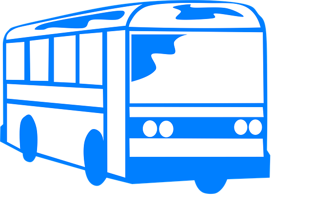 화담숲 가을 주차 만차? 걱정 마세요! 대체 공간 활용법 🗺️