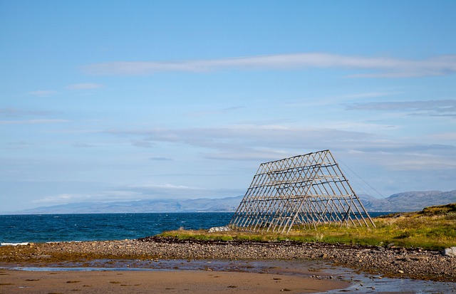 과메기, 겨울철 동해안의 특별한 선물 🎁