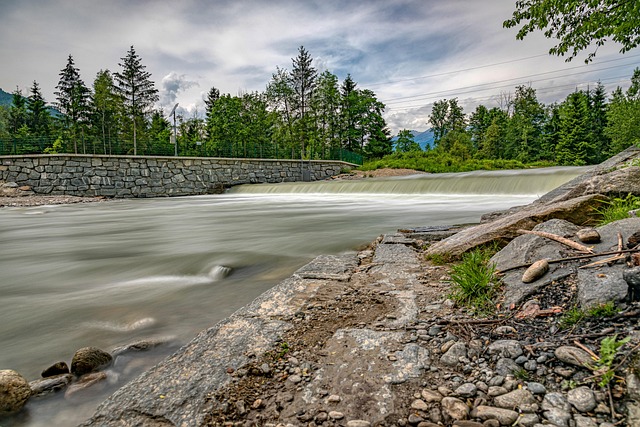 코스트코 주식 장기 투자는 어떨까요?